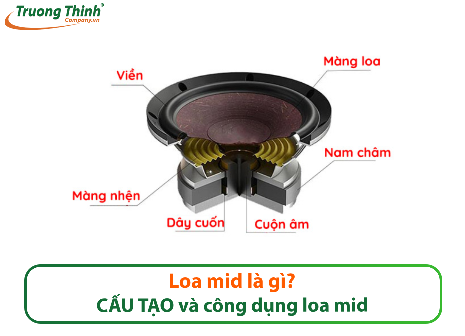 Loa mid là gì? Cấu tạo và công dụng củ loa mid