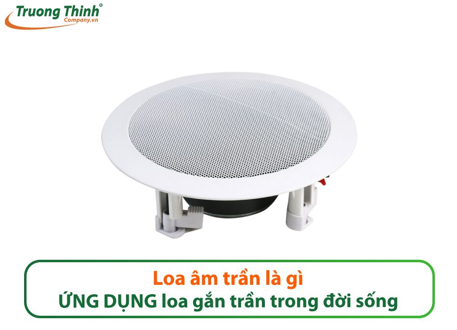 Loa âm trần là gì