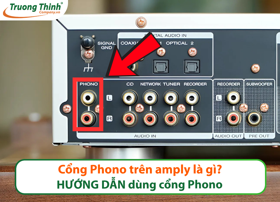 Cổng Phono trên amply là gì