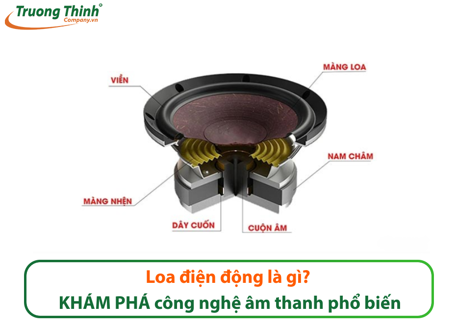 Loa điện động là gì? KHÁM PHÁ công nghệ âm thanh phổ biến
