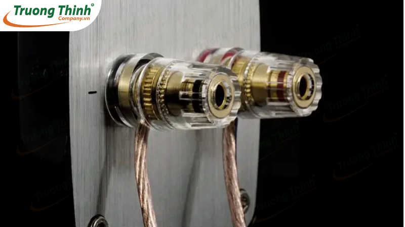 Đầu nối dây loa bị lỏng Đầu nối dây loa bị lỏng