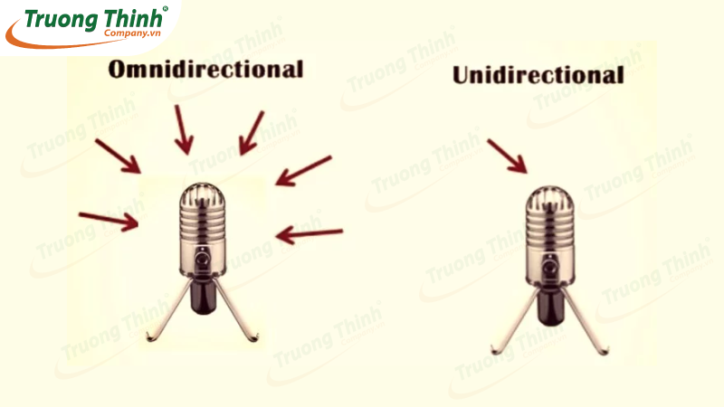 Micro đa hướng là gì Micro đa hướng là gì
