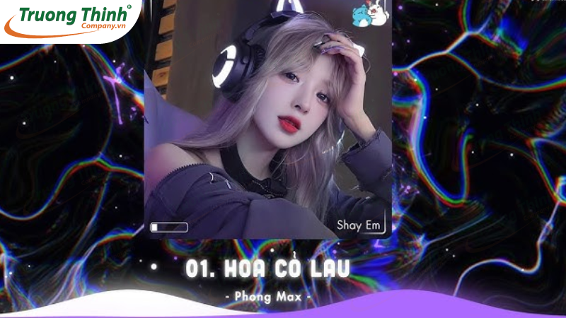 Top bài hát karaoke TikTok remix sôi động