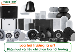 Loa hội trường là gì? Phân loại và tiêu chí chọn loa hội trường