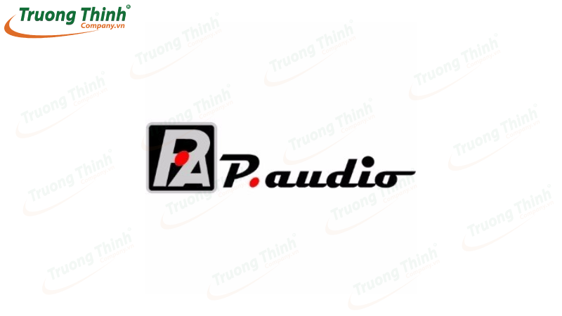 Trường Thịnh – Nhà cung cấp âm thanh P.Audio uy tín tại Việt Nam